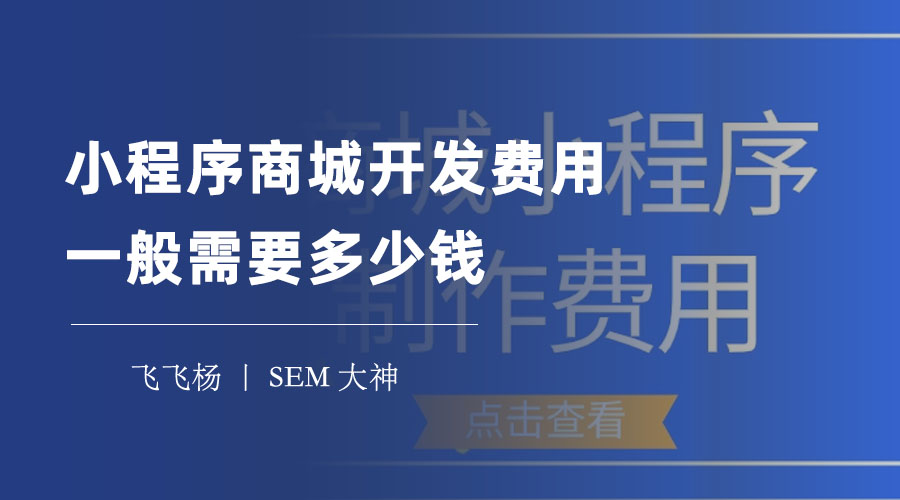 小程序商城开发费用一般需要多少钱 - 开发费用只是冰山一角