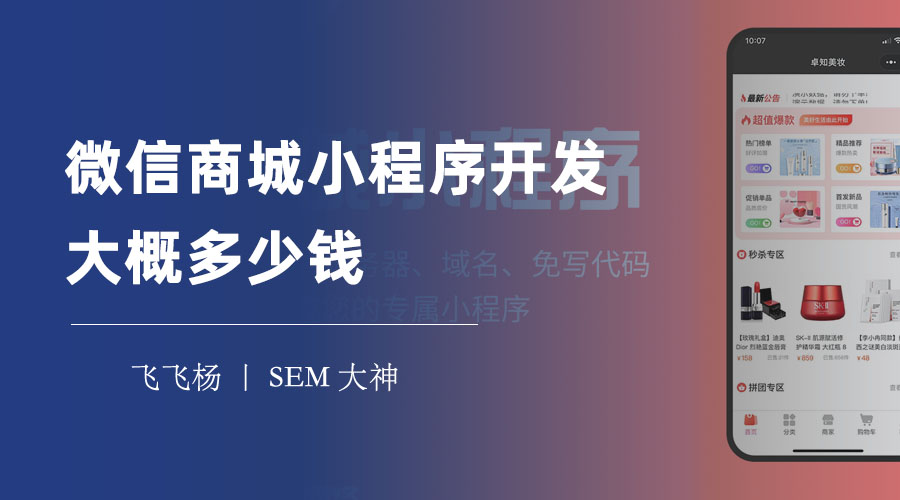 微信商城小程序开发大概多少钱 - 定制开发还是模板制作？