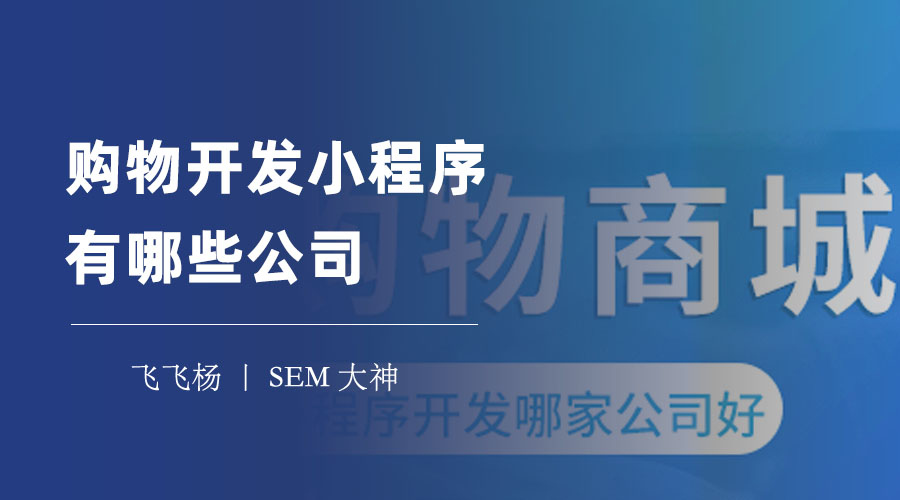 购物开发小程序有哪些公司？看看他们的案例和评价，你就知道了